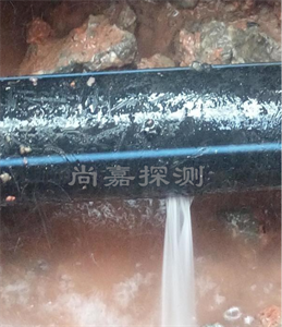东至消防管道漏点探测